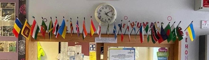 School community flags