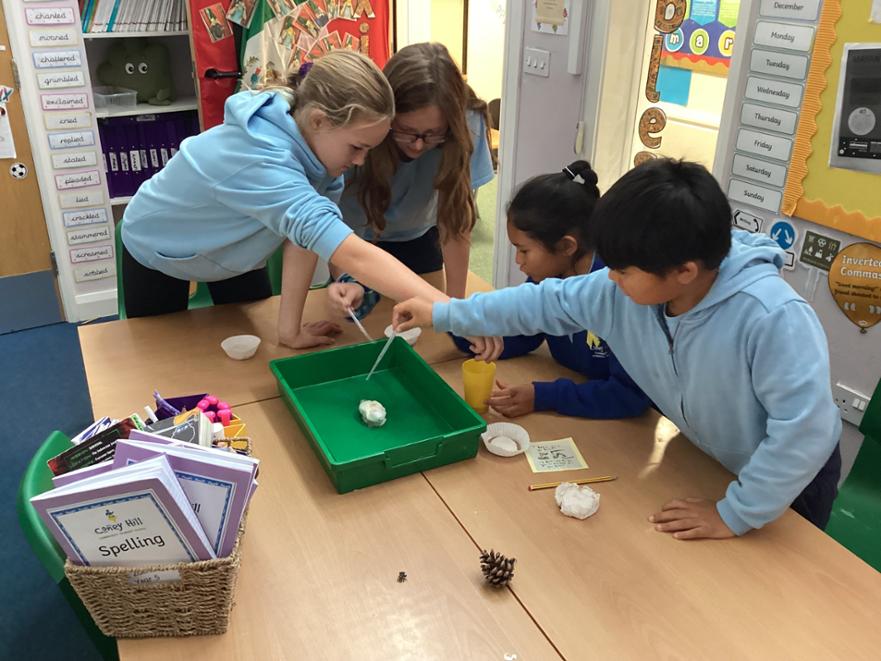 Science club 1