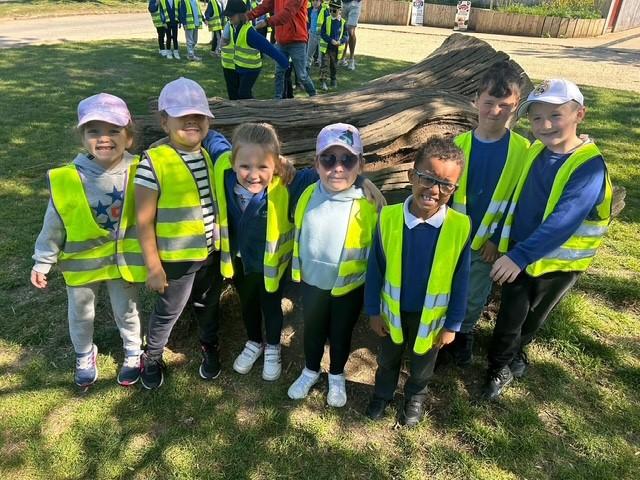 ROBINSWOOD HILL Y1 B