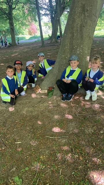 ROBINSWOOD HILL Y1 A