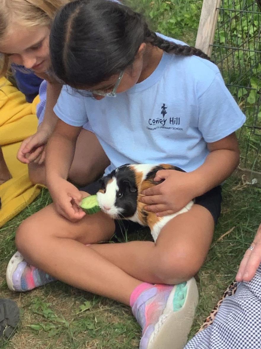 GUINEA PIGS 2.jpg